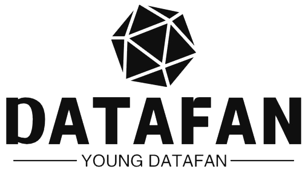 Young DataFan Logo